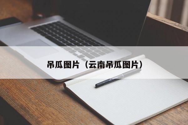 吊瓜图片（云南吊瓜图片）