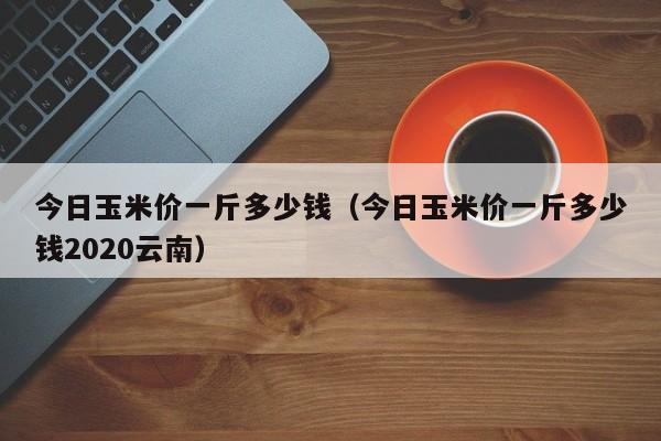 今日玉米价一斤多少钱（今日玉米价一斤多少钱2020云南）