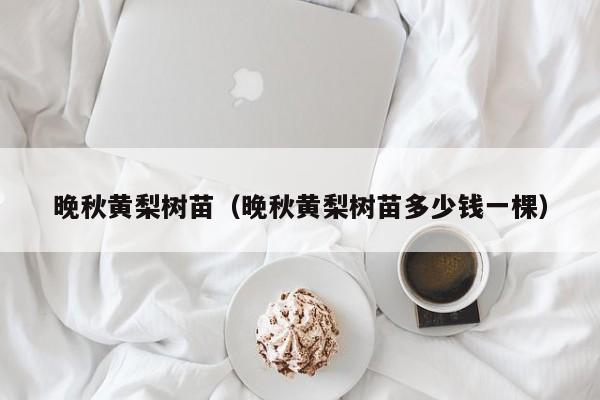 晚秋黄梨树苗（晚秋黄梨树苗多少钱一棵）