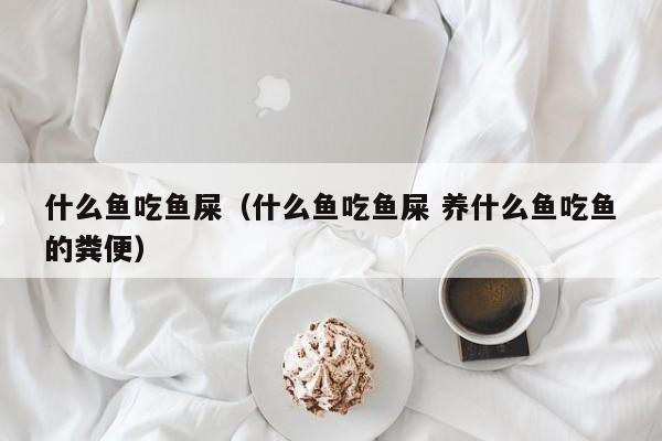 什么鱼吃鱼屎（什么鱼吃鱼屎 养什么鱼吃鱼的粪便）