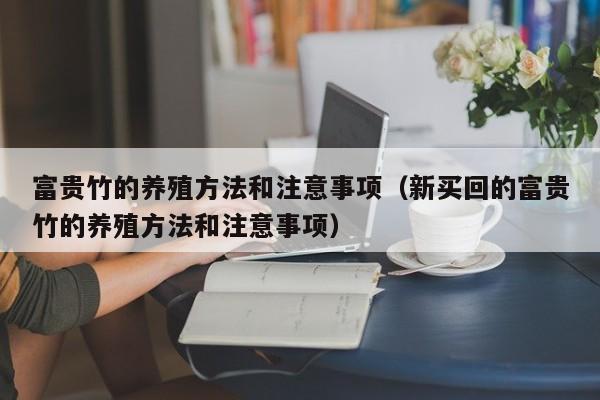 富贵竹的养殖方法和注意事项（新买回的富贵竹的养殖方法和注意事项）