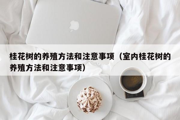 桂花树的养殖方法和注意事项（室内桂花树的养殖方法和注意事项）