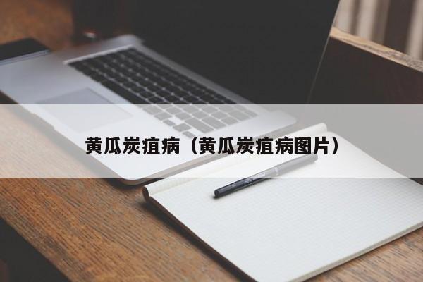 黄瓜炭疽病（黄瓜炭疽病图片）