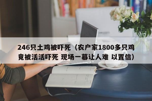 246只土鸡被吓死（农户家1800多只鸡竟被活活吓死 现场一幕让人难 以置信）