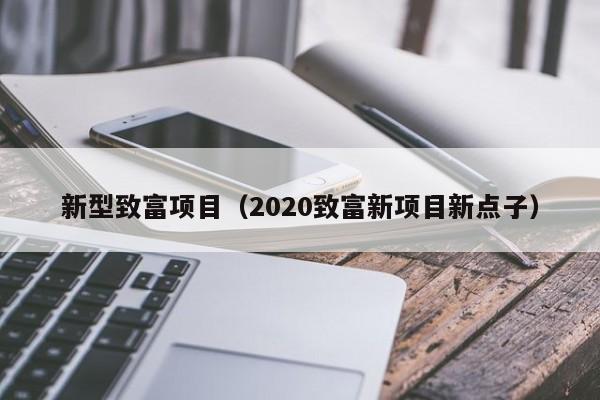 新型致富项目（2020致富新项目新点子）