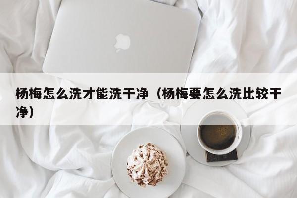 杨梅怎么洗才能洗干净（杨梅要怎么洗比较干净）