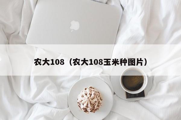 农大108（农大108玉米种图片）