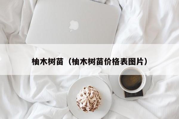 柚木树苗（柚木树苗价格表图片）