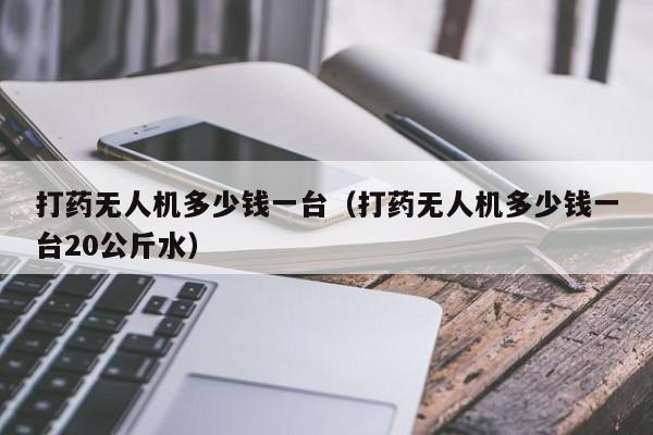 打药无人机多少钱一台（打药无人机多少钱一台20公斤水）