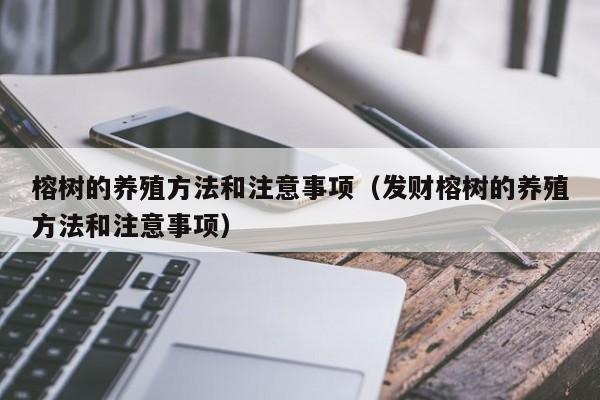 榕树的养殖方法和注意事项（发财榕树的养殖方法和注意事项）