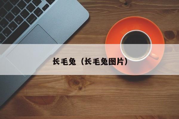 长毛兔（长毛兔图片）