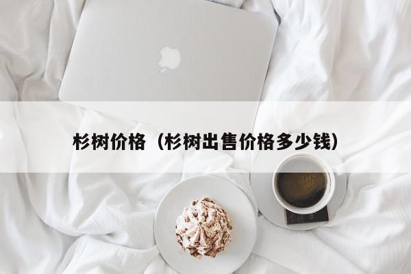 杉树价格（杉树出售价格多少钱）