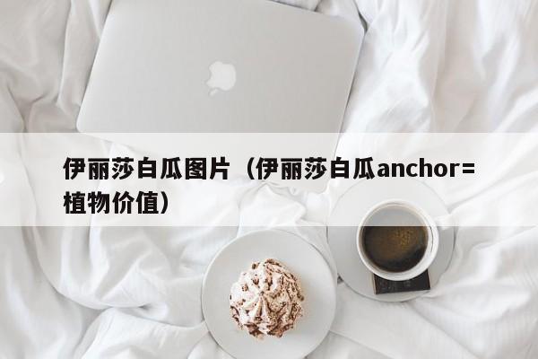 伊丽莎白瓜图片（伊丽莎白瓜anchor=植物价值）