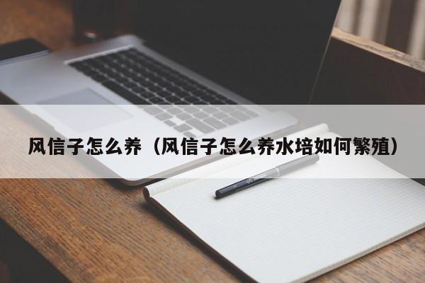 风信子怎么养（风信子怎么养水培如何繁殖）