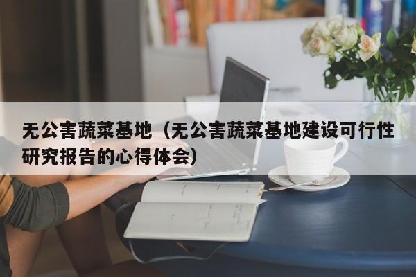 无公害蔬菜基地（无公害蔬菜基地建设可行性研究报告的心得体会）