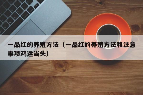 一品红的养殖方法（一品红的养殖方法和注意事项鸿运当头）