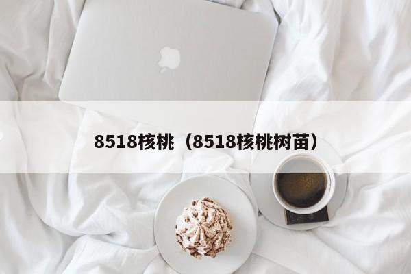 8518核桃（8518核桃树苗）