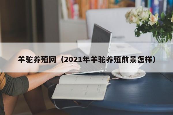 羊驼养殖网（2021年羊驼养殖前景怎样）