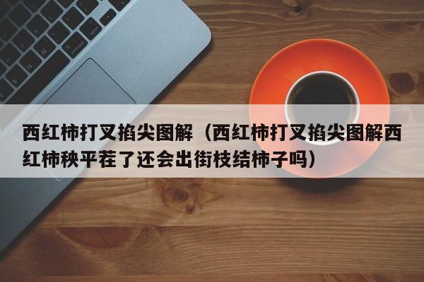 西红柿打叉掐尖图解（西红柿打叉掐尖图解西红柿秧平茬了还会出街枝结柿子吗）