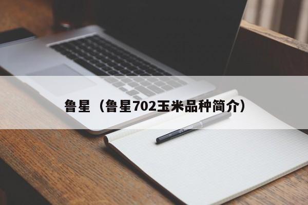 鲁星（鲁星702玉米品种简介）