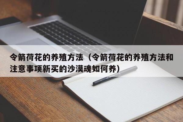 令箭荷花的养殖方法（令箭荷花的养殖方法和注意事项新买的沙漠魂如何养）