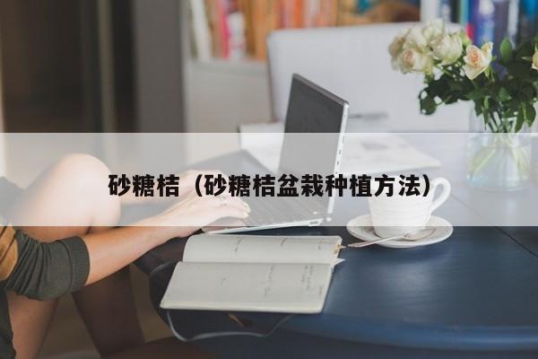 砂糖桔（砂糖桔盆栽种植方法）