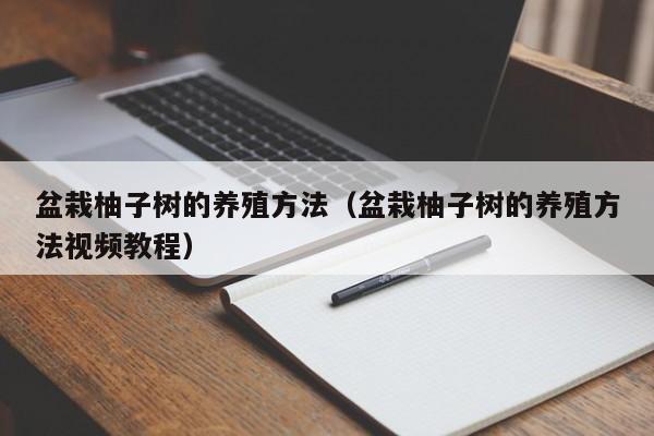 盆栽柚子树的养殖方法（盆栽柚子树的养殖方法视频教程）