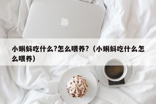 小蝌蚪吃什么?怎么喂养?（小蝌蚪吃什么怎么喂养）