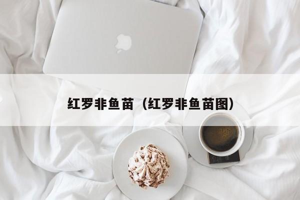 红罗非鱼苗（红罗非鱼苗图）