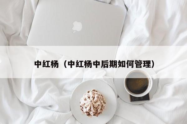 中红杨（中红杨中后期如何管理）