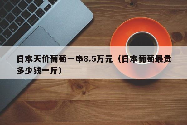 日本天价葡萄一串8.5万元（日本葡萄最贵多少钱一斤）