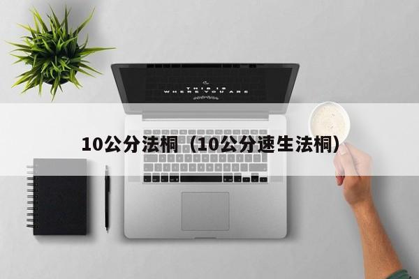 10公分法桐（10公分速生法桐）