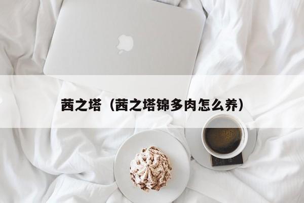 茜之塔（茜之塔锦多肉怎么养）