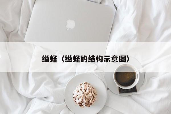 缢蛏（缢蛏的结构示意图）