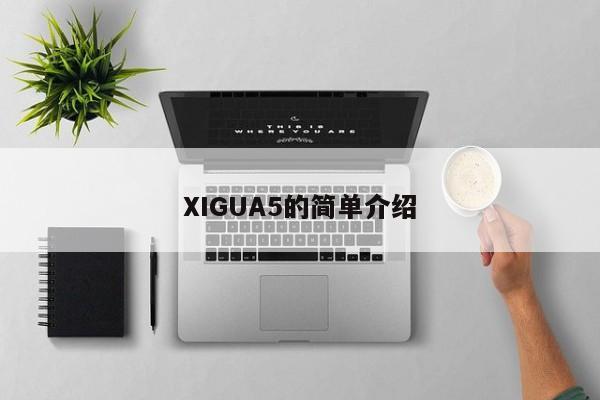 XIGUA5的简单介绍