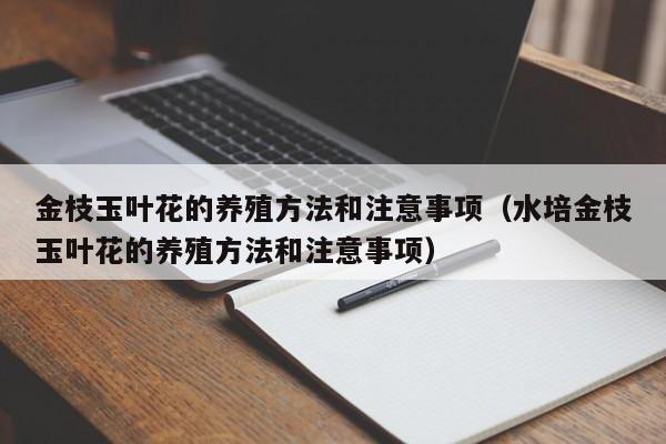 金枝玉叶花的养殖方法和注意事项（水培金枝玉叶花的养殖方法和注意事项）