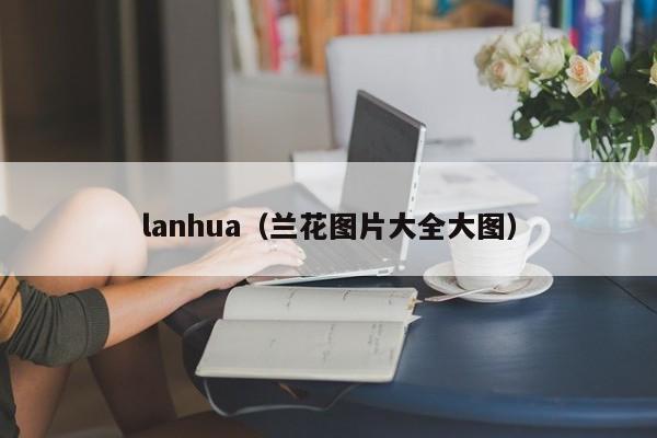 lanhua（兰花图片大全大图）