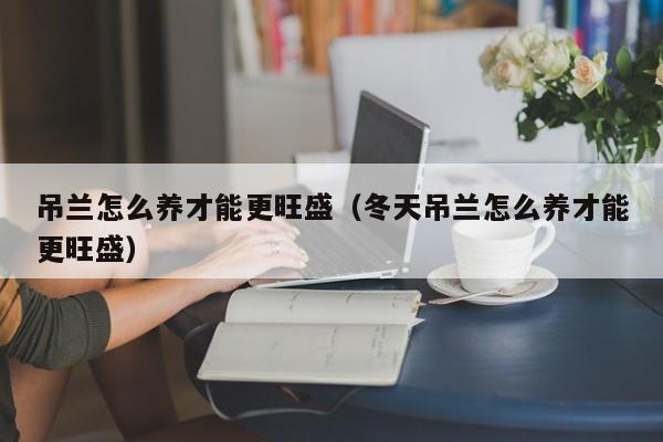 吊兰怎么养才能更旺盛（冬天吊兰怎么养才能更旺盛）