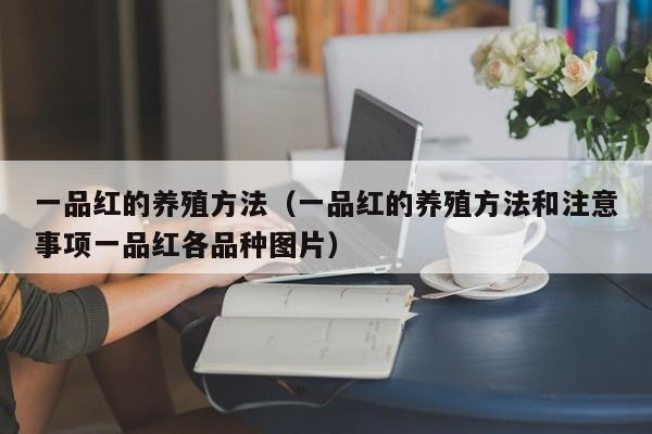 一品红的养殖方法（一品红的养殖方法和注意事项一品红各品种图片）