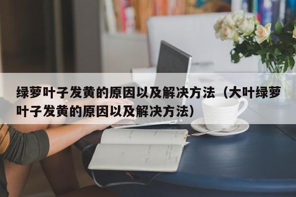 绿萝叶子发黄的原因以及解决方法（大叶绿萝叶子发黄的原因以及解决方法）