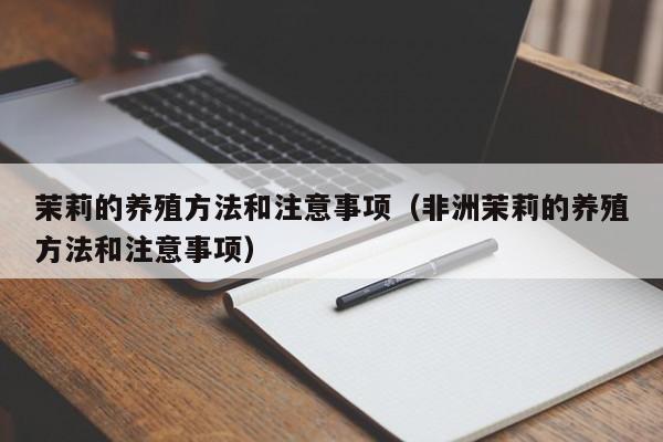 茉莉的养殖方法和注意事项（非洲茉莉的养殖方法和注意事项）