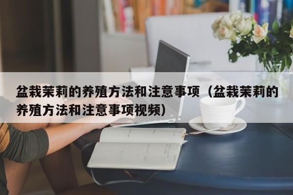 盆栽茉莉的养殖方法和注意事项（盆栽茉莉的养殖方法和注意事项视频）