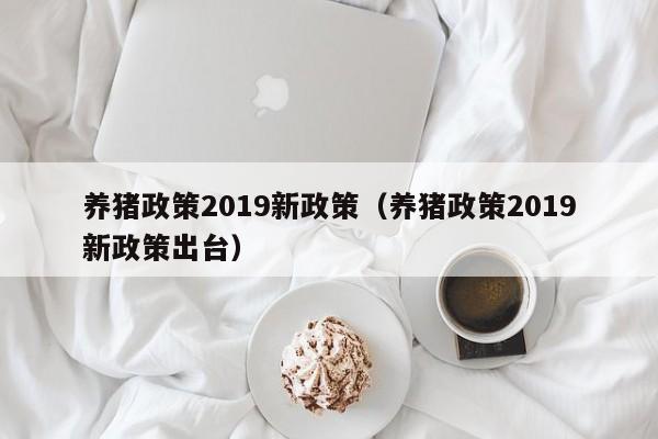 养猪政策2019新政策（养猪政策2019新政策出台）