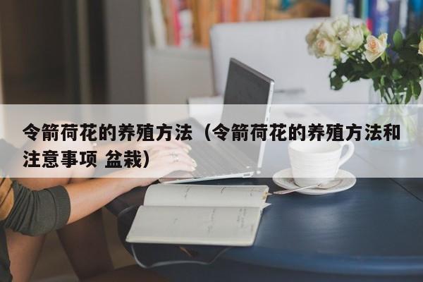 令箭荷花的养殖方法（令箭荷花的养殖方法和注意事项 盆栽）