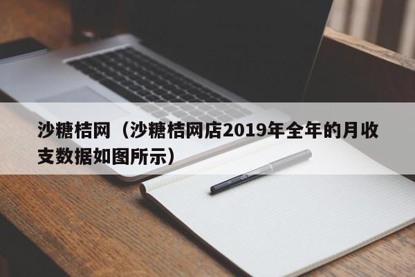 沙糖桔网（沙糖桔网店2019年全年的月收支数据如图所示）