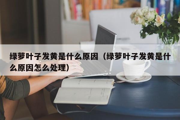 绿萝叶子发黄是什么原因（绿萝叶子发黄是什么原因怎么处理）