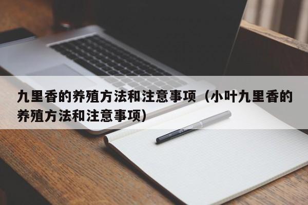 九里香的养殖方法和注意事项（小叶九里香的养殖方法和注意事项）