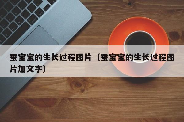 蚕宝宝的生长过程图片（蚕宝宝的生长过程图片加文字）