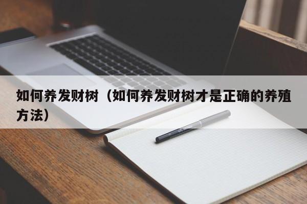 如何养发财树（如何养发财树才是正确的养殖方法）