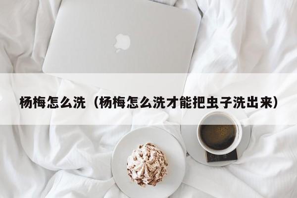 杨梅怎么洗（杨梅怎么洗才能把虫子洗出来）